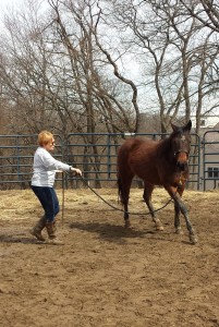 Toby Training